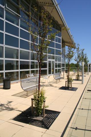 St Peter's Sixth Form College, south facing terrace accessed from the refectory 